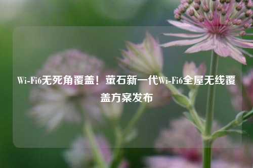 Wi-Fi6無(wú)死角覆蓋！螢石新一代Wi-Fi6全屋無(wú)線覆蓋方案發(fā)布